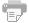 Printer Friendly